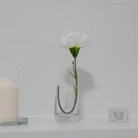 Comfortable Studio With Parking In By Renters Щецин