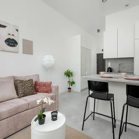Апартаменты Comfortable Studio With Parking In By Renters Щецин